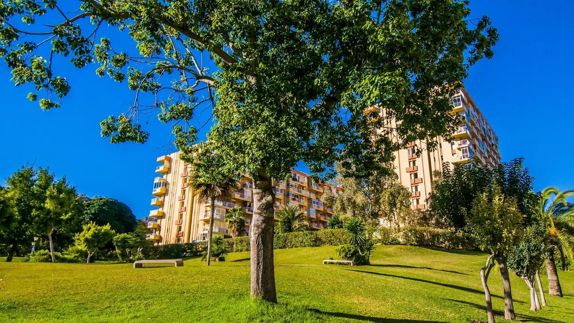 237 Minerva Apartamentos - PISCINA ABIERTA - EXCELENTE CONEXIÓN WIFI Málaga