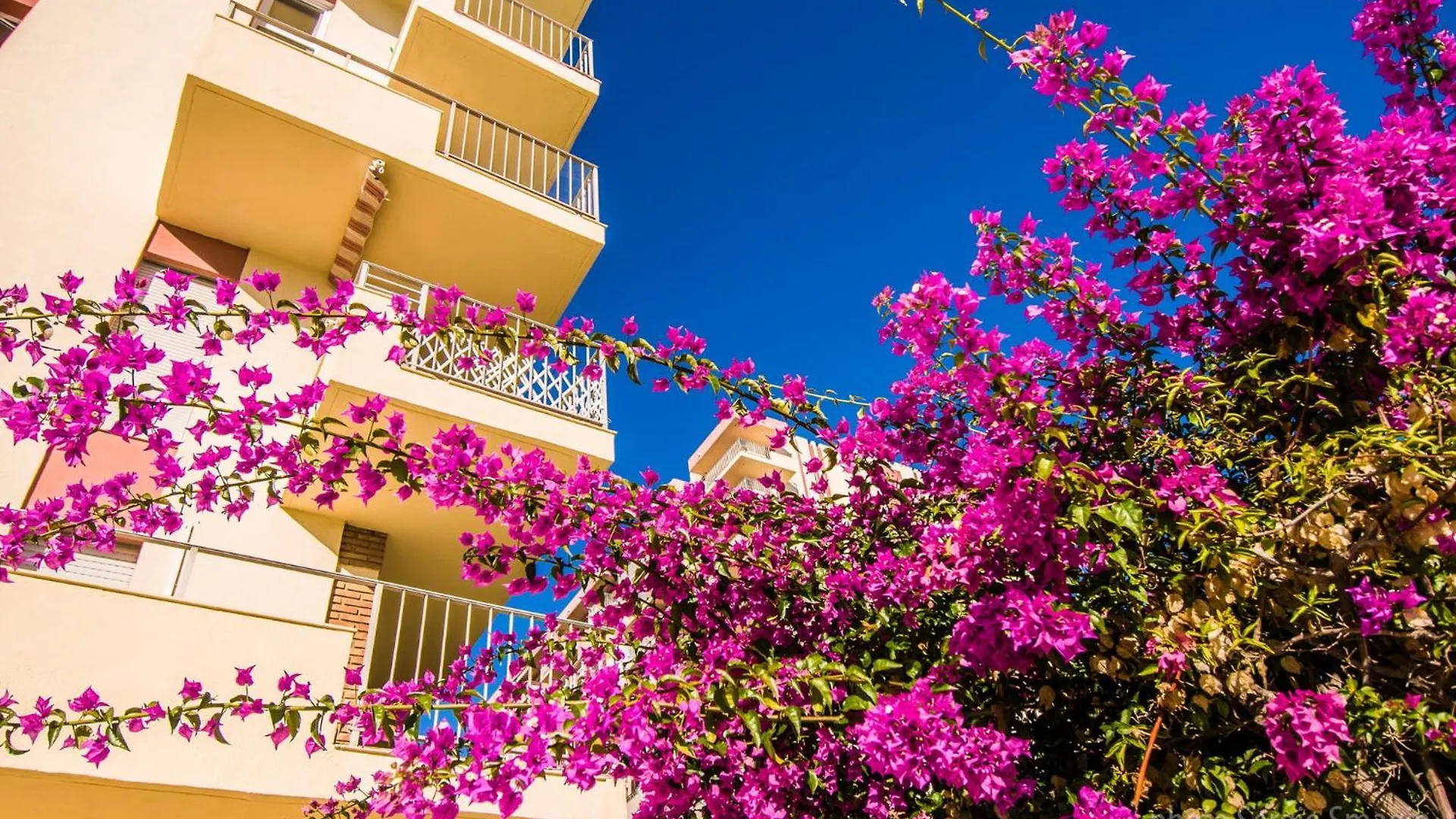 237 Minerva Apartamentos - PISCINA ABIERTA - EXCELENTE CONEXIÓN WIFI Málaga