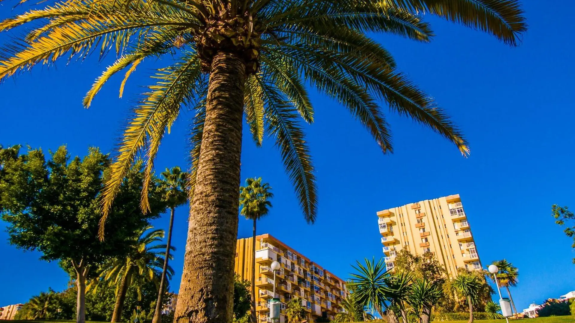 237 Minerva Apartamentos - PISCINA ABIERTA - EXCELENTE CONEXIÓN WIFI Málaga